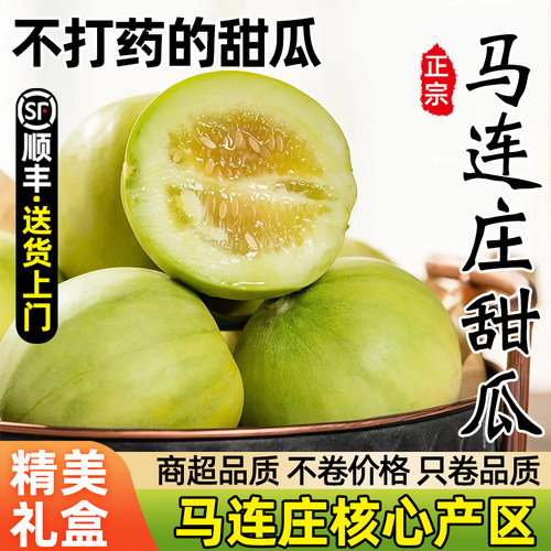 【顺丰】正宗马连庄甜瓜自然成熟当季新鲜孕妇宝宝水果脆甜多汁