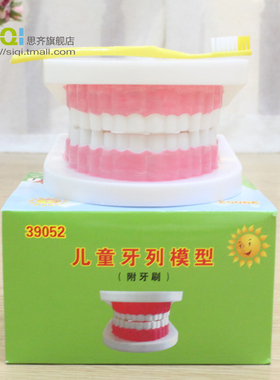 39052儿童牙列模型 育才教学牙列模型 教学仪器 实验器材
