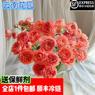 杏色果汁泡泡多头玫瑰云南基地直发顺丰冷链包邮生活鲜花插花花束