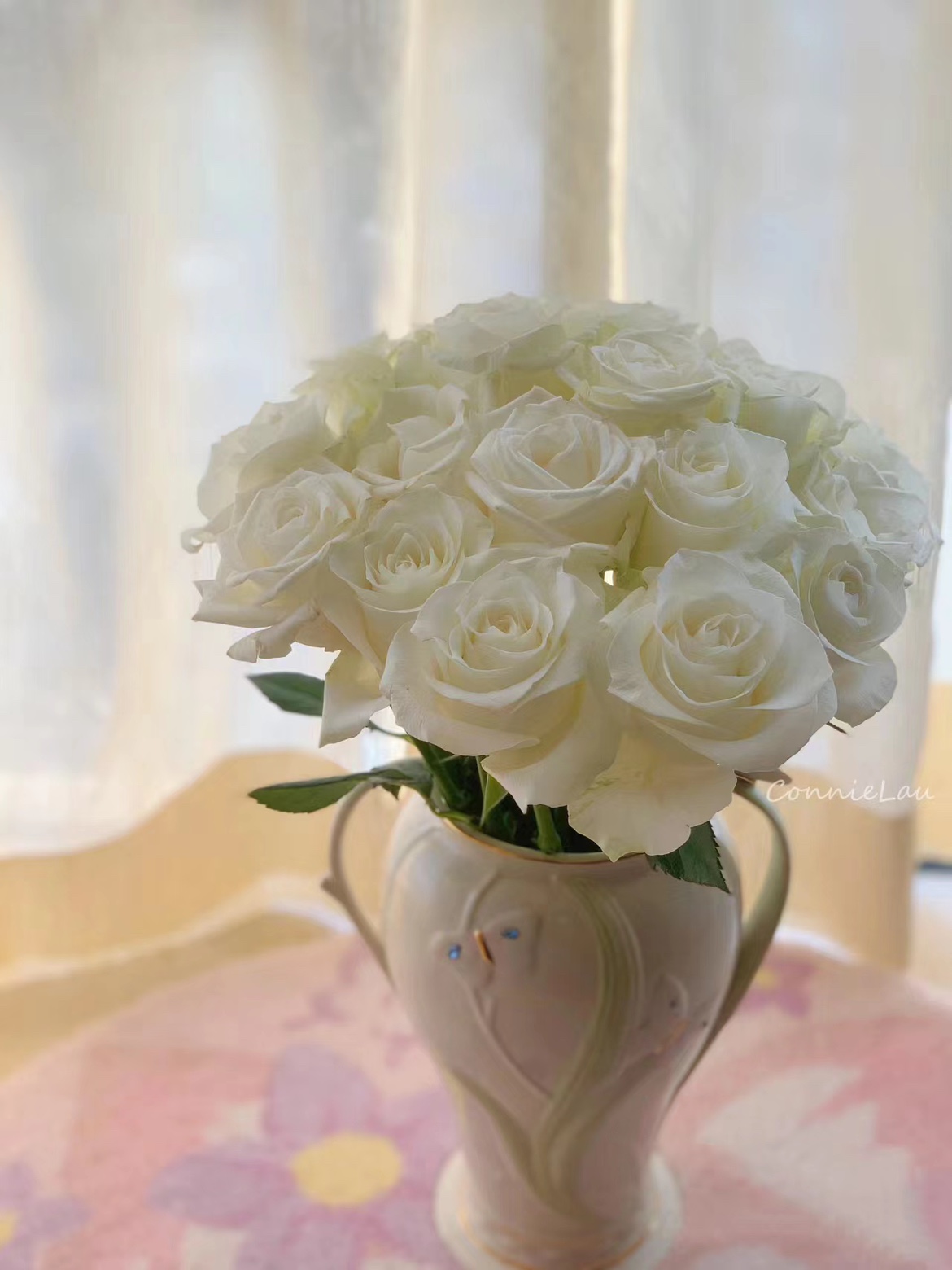 白色玫瑰品种名骄傲鲜花花材