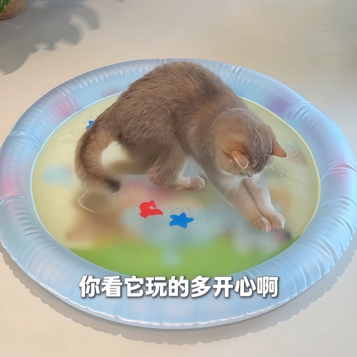 给我家猫买了个大水床，能玩能睡