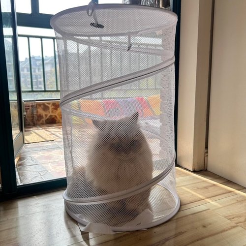 第一个想出用这个当烘干机的天才