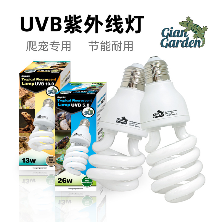 蜥蜴陆龟爬虫灯管灯泡