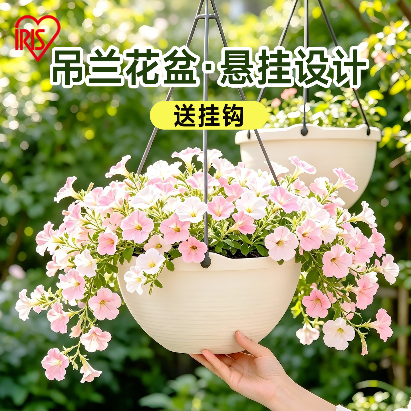 爱丽思绿萝吊篮花盆悬挂式垂吊盆图片