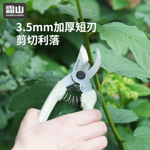 霜山果树修枝园艺剪刀家用花艺剪