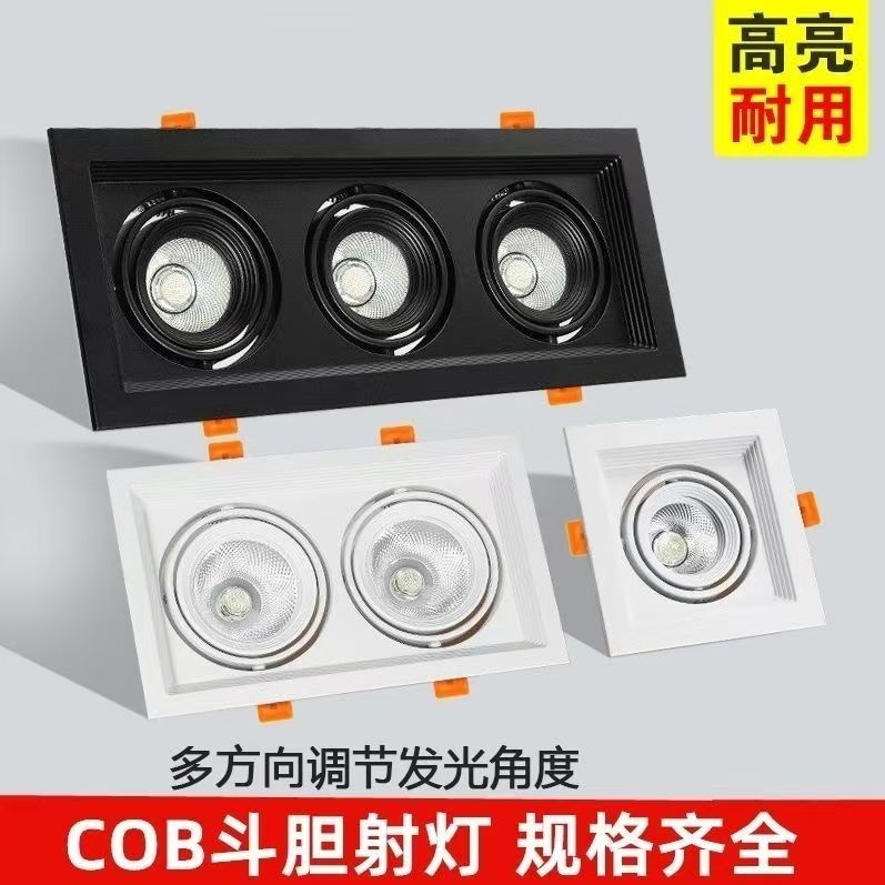 led射灯斗胆灯单双头格栅嵌入式
