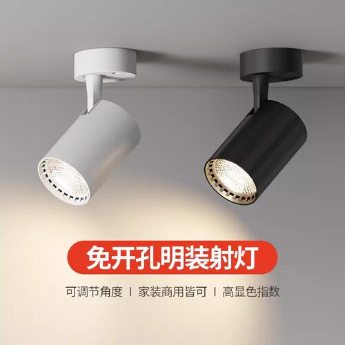 明装LED聚光可调单个射灯