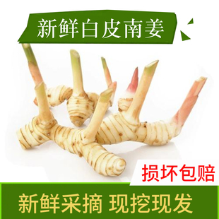 现货新鲜泰国南姜泰式南姜冬阴功汤料材料是白皮南姜