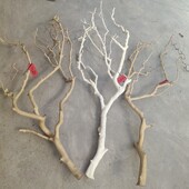 干树枝去皮原木树杆枯树枝带杈分支树杈室内天花板挂灯橘子树枝