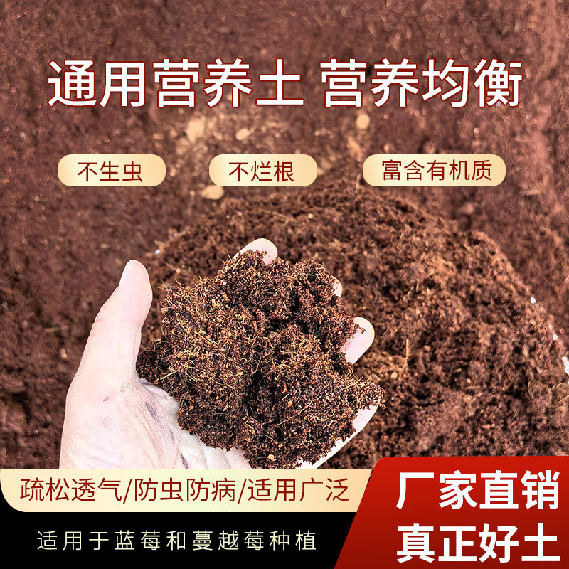 蓝莓专用土营养土酸性土壤盆栽地栽种植土进口泥炭土肥料无病虫害