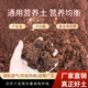 蓝莓专用土营养土酸性土壤盆栽地栽种植土进口泥炭土肥料无病虫害