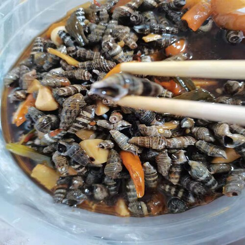 热卖福建特色小吃福鼎当地风味 泥螺炒石螺 即食下酒休闲伴侣500g
