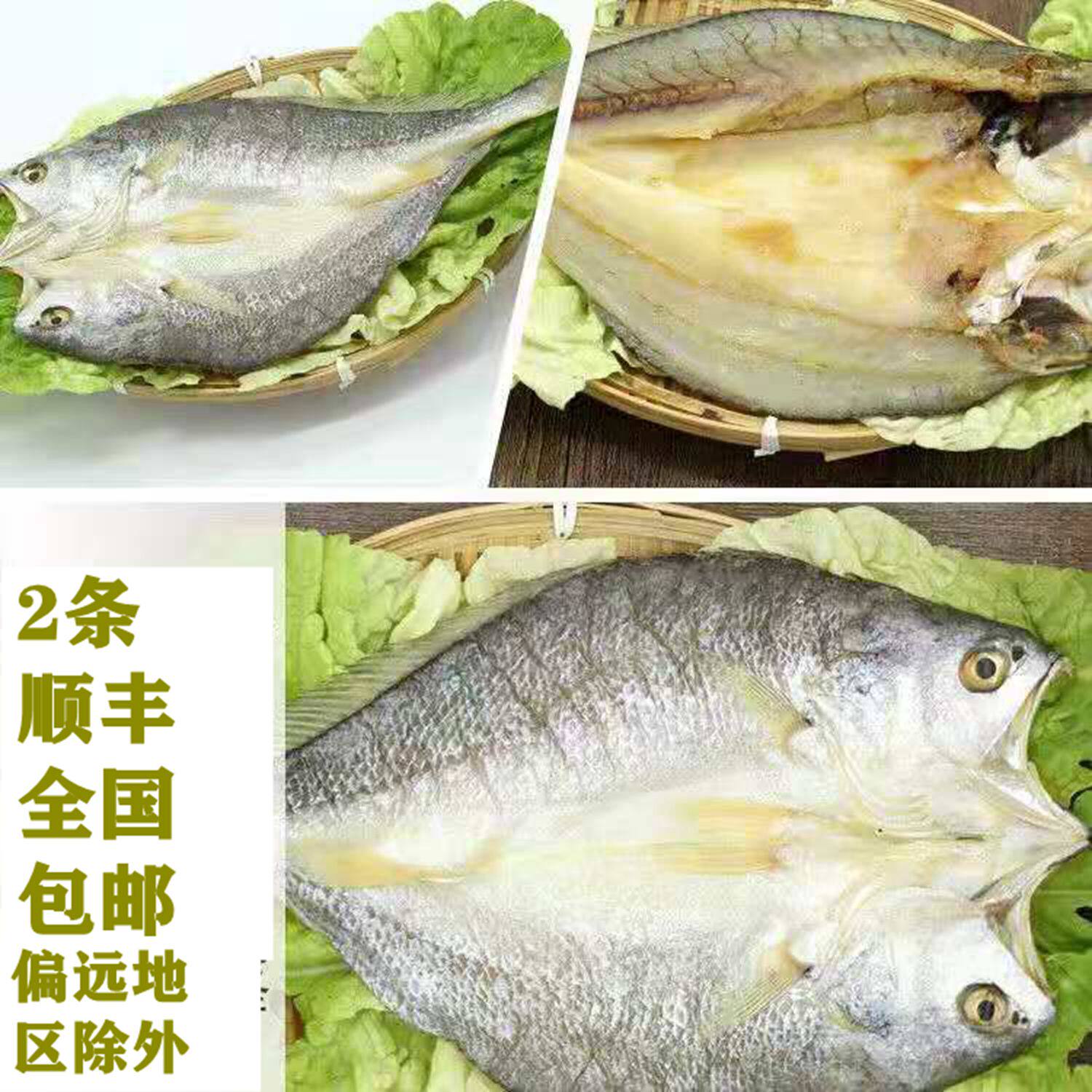 福建福鼎特产水产制品 黄瓜鱼 大黄鱼 黄花鱼干一条价格