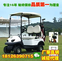 Xe tay ga giải trí tăng vọt Xe golf mini 2 chỗ Xe golf Golf xe điện - Xe đạp điện xe máy điện trẻ em