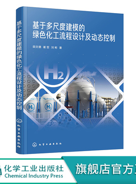 基于多尺度建模的绿色化工流程设计及动态控制 田文德 绿色化工基本概念方法和新进展 化工环境及其他相关专业研究生应用参考书籍