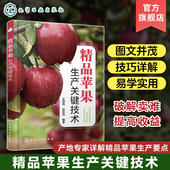 研究人员参考 精品苹果生产关键技术 苹果科研生产 产地专家详解精品苹果生产要点 果农及大专院校相关专业师生阅读参考 王田利