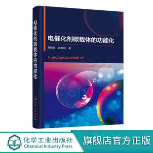 低温燃料电池碳载体功能化处理功能化作用 电催化剂碳载体 催化材料燃料电池研发书 功能化进展书籍 功能化 低温燃料电池碳载体