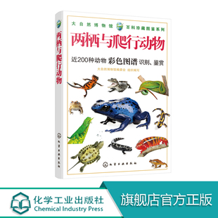 大自然博物馆 百科珍藏图鉴系列 两栖与爬行动物 两栖动物 爬行动物 动物 科普 生命 值得拥有的一部精美的两栖与爬行动物百科图鉴
