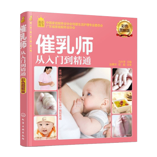 就业金手指系列 催乳师从入门到精通 彩色图解版 催乳理论知识 产后乳房修复指导 产妇营养配餐 催乳师入门指导产妇心理护理书籍