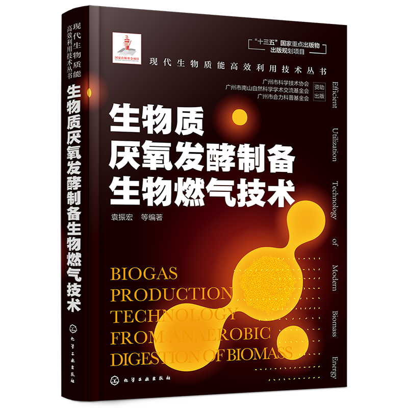 现代生物质能高效利用技术丛书 生物质厌氧发酵制备生物燃气技术 袁振宏 生物质燃气制备的厌氧发酵工艺 生物燃气的利用工艺