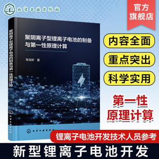 聚阴离子型锂离子电池的制备与第一性原理计算 常龙娇 新型锂离子电池开发 聚阴离子型锂离子电池结构 锂离子电池开发技术人员参考