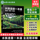 水族造景零基础自学书 水草缸造景流程造景技巧鱼缸后期维护 鱼缸骨架造景工具思路参考书 水草缸水陆缸雨林缸 水族造景一本通