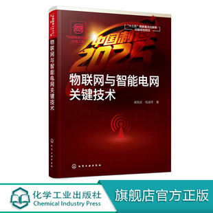 物联网与智能电网关键技术曾宪武 中国制造2025 工程 智能电网电力系统研究开发应用工程技术参考书 出版 智能电网优化运行控制技术