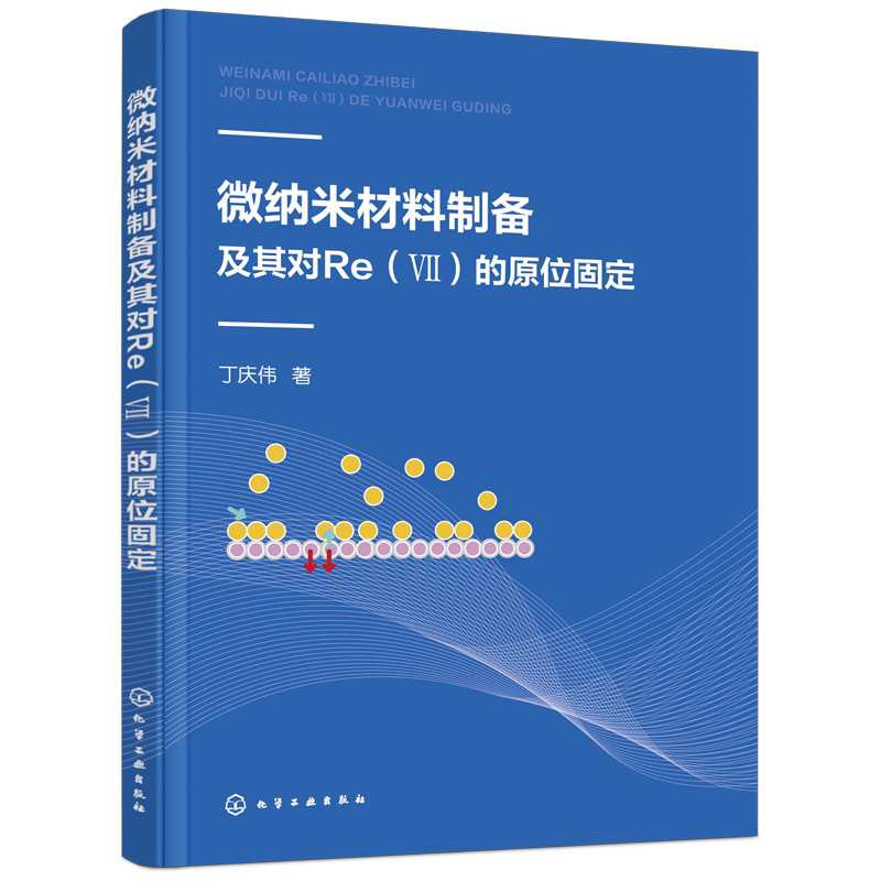 微纳米材料制备及其对Re Ⅶ 的原位固定 丁庆伟 纳米材料制备研究书籍纳米零价铁制备表面修饰分散性研究纳米j天然黄铁矿粉末制备