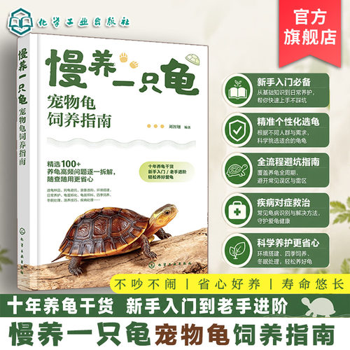 一本指南，搞定所有养龟难题，新手入门不踩