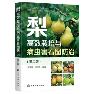 梨高效栽培与病虫害看图防治 第二版 王江柱 高标准建设梨园 土肥水管理整形修剪花果管理 低效梨树高接改造 梨树种植合作社参考
