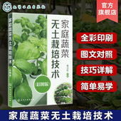 现代无土栽培常用营养液配方和主要蔬菜营养液配方 正版 徐卫红 彩图版 家庭蔬菜无土栽培爱好者阅读参考 家庭蔬菜无土栽培技术