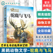 黑鹤动物文学名师导读 12岁小学生二三四五六年级语文课外阅读图书籍 全彩珍藏版 儿童文学少儿读物成长励志故事书 驼鹿与飞马
