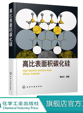 高比表面积碳化硅 郭向云 高比表面积碳化硅制备方法书籍 高比表面积碳化硅在催化领域应用技术 催化剂载体研究 高温吸波隐身材料