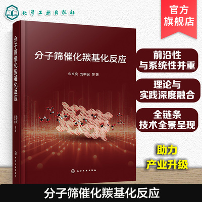 分子筛催化剂制备与应用技术指南