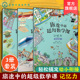 记忆力 基础 提高 全3册 超级数学课 挑战 6岁儿童幼小衔接数学启蒙绘本培养幼儿学习能力数感训练基础知识思维训练绘本 旅途中