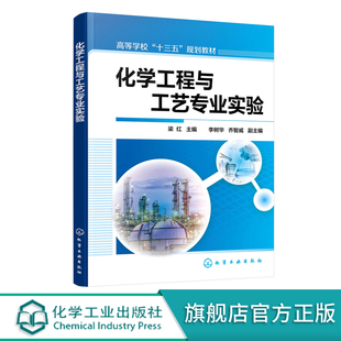 化学工程与工艺专业实验 梁红 化工专业实验组织与实施 数据统计分析 化工研究创新实验 化工单元仿真化工实习仿真实验应用书籍