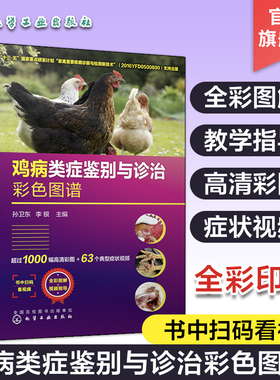 鸡病类症鉴别与诊治彩色图谱 孙卫东 诊疗防治养鸡技术书鸡常见症状诊断防控策略兽医书籍 安全用药家禽养殖大全高效土鸡实用手册