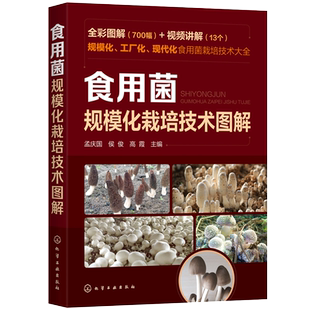 食用菌规模化栽培技术图解700幅 食用菌工厂化栽培食用菌规模栽培 鸡腿菇球盖菇 食用菌病害防治食用菌规模化农业推广人员参考书籍
