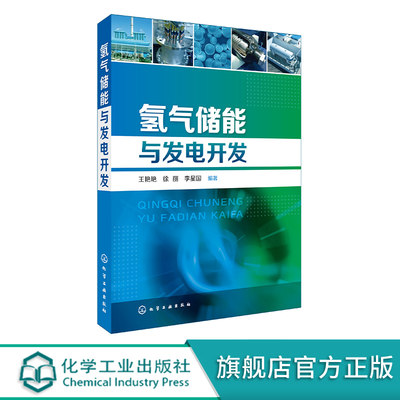 氢气储能与发电开发 氢能源应用主要领域 氢能储能发电技术难点和关键材料 氢能源利用以及储能发电研究领域技术人员应用参考书籍