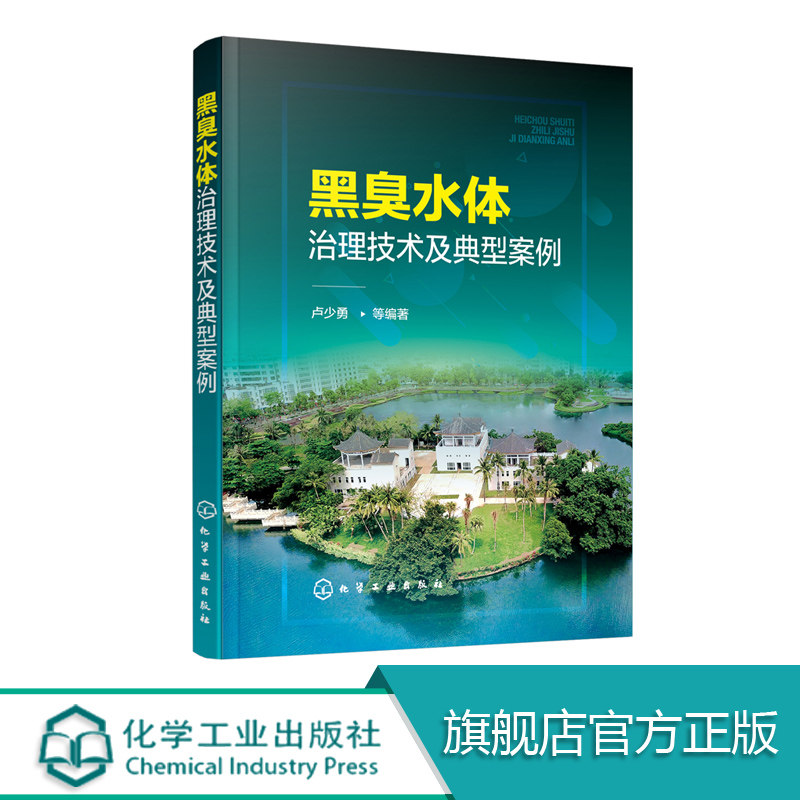 黑臭水体治理技术及典型案例 河流环境污染控制与修复技术书籍 黑臭水体防治 黑臭水体整治原则 治理基本思路及技术措施 污水处理