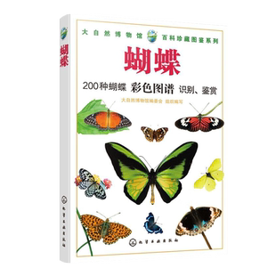 大自然博物馆 百科珍藏图鉴系列 蝴蝶 青少年中小学生动植物科普百科全书 生活环境习性繁殖特点知识大全 凤蝶袖蝶粉蝶 种类丰富