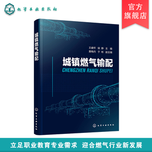 城镇燃气输配 王睿怀 城镇燃气分类 城镇燃气供需压缩天然气供应 液化石油气供应燃气安全运输处理存放 高等职业城市燃气工程教材