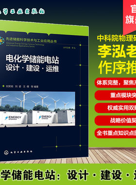 先进储能科学技术与工业应用丛书