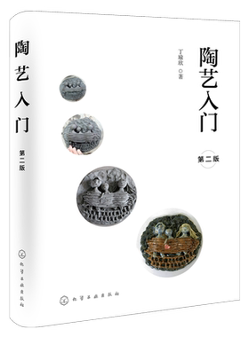 陶艺入门 第二版 手作入门教程 陶艺制作方法步骤解析 手工陶瓷烧制 彩绘插图轻松易学 休闲手工艺书籍 日常解压休闲手工陶艺制作