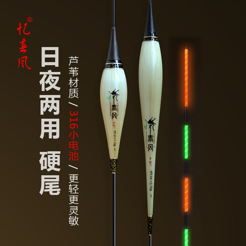 日夜两用芦苇夜光漂黑坑高灵敏