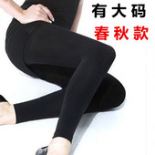 胖MM200斤春秋黑肉色不连脚打底连 加大码 丝袜九分裤 袜女薄款