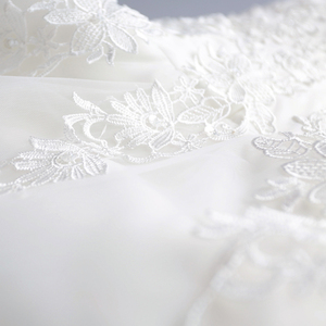 Princess bride journey in winter and winter tuxedo