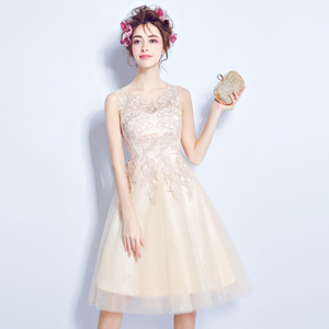 Champagne lace on the bridesmaid dress for the bride wedding dresses and the wedding dresses