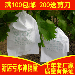 纸袋子柚子芒果莲雾套袋 葡萄套袋专用袋防鸟防虫水果套袋套葡萄