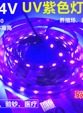 LED灯带24V5050高亮医疗设备紫光紫色LED灯条24V紫色防水验钞灯带